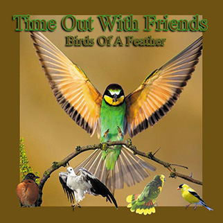 Costanzo – Birds Time Out With Friends (Birds of a Feather)