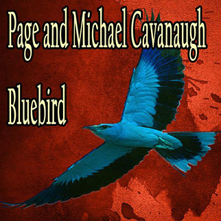 Michael Cavanaugh – Bluebird