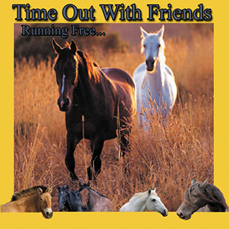 Costanzo – Horse Time out with Friends (Running Free)